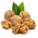 خرید نهال گردو