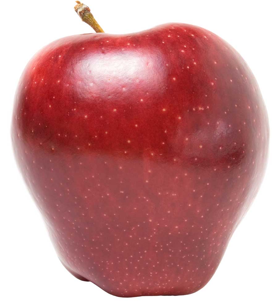 نهال سیب لبنانی قرمز
