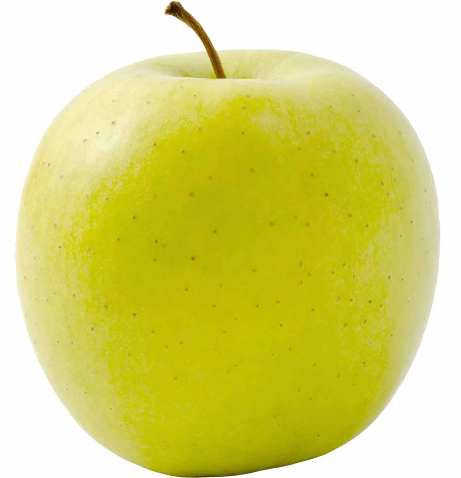 نهال سیب لبنانی زرد